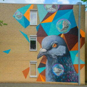 graffiti duif